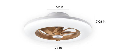 Kitchen Ceiling Fan with lights