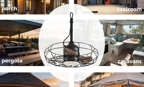 caged ceiling fan with light