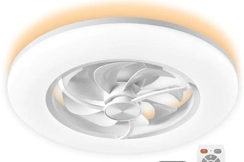 ceiling fan with light