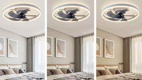 small ceiling fan with light