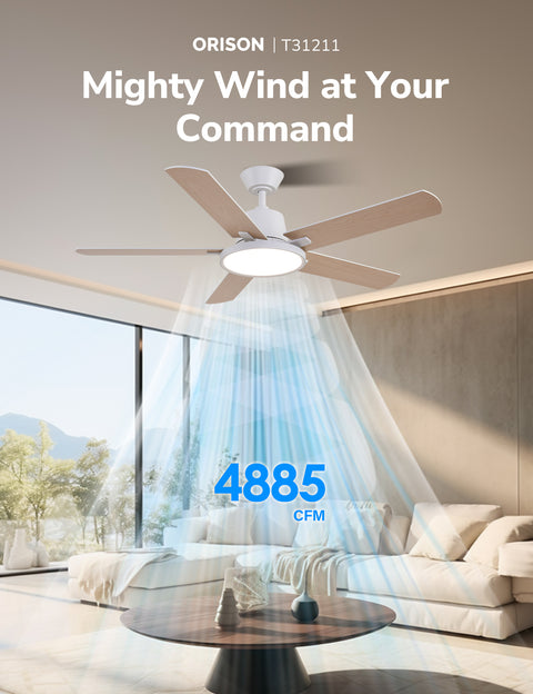 52" Orison Ceiling Fans with Lights, Low Profile Ceiling Fan with RGB Backlight, Remote/APP Control