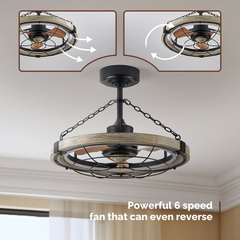 24.4" Orison Smart Caged Ceiling Fan With Lights, Dimmable LED Ceiling Light with Remote/APP Control
