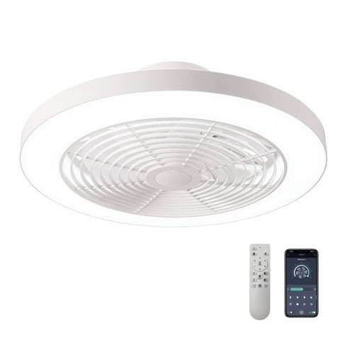 low profile ceiling fan with light