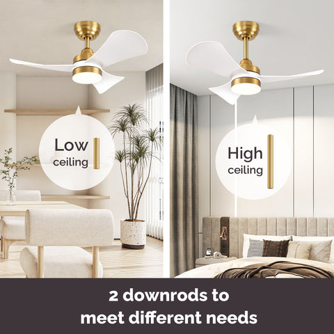 32" Orison Smart Ceiling Fans with Lights and Remote Control, Dancing RGB Light for Modern Bedroom
