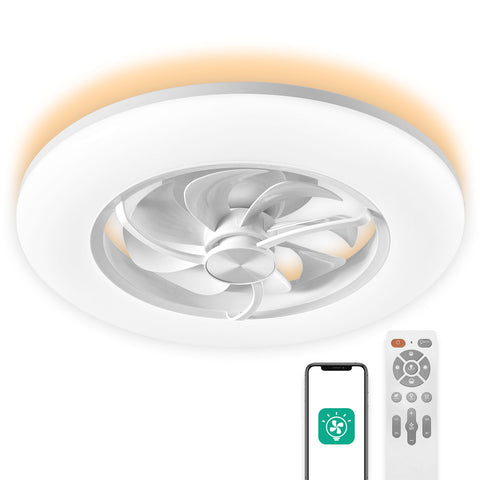 enclosed ceiling fan with light