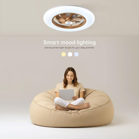 kitchen ceiling fan with lights