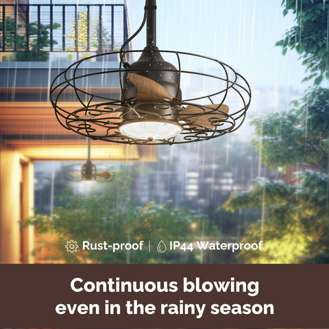 caged ceiling fan with light