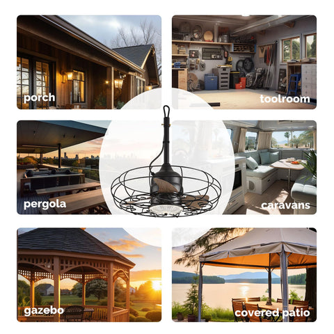 caged ceiling fan with light