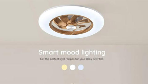 Kitchen Ceiling Fan with Lights