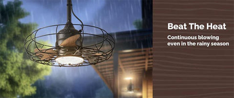 caged ceiling fan with light