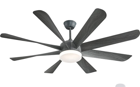 What is the best ceiling fan with a light?