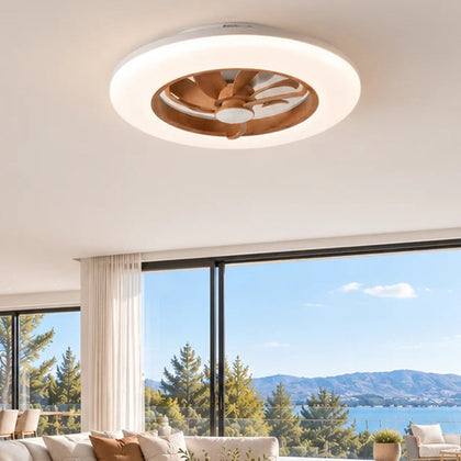 Low Profile Ceiling Fan