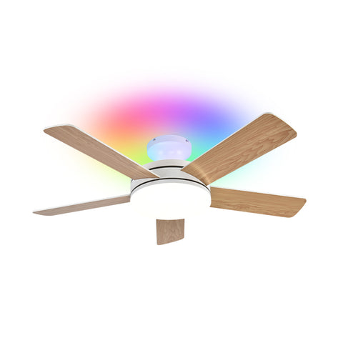 RGB Fans
