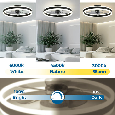 19.7" CHANFOK Orison Modern Small Ceiling Fan With Light