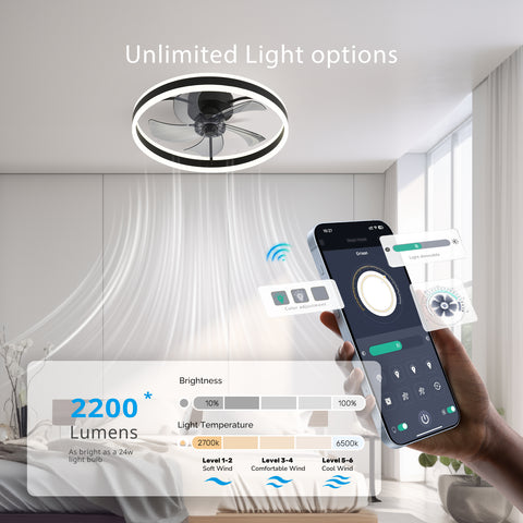 19.7" CHANFOK Orison Modern Small Ceiling Fan With Light