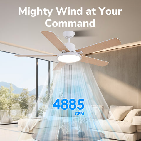 52" Orison Ceiling Fans with Lights, Low Profile Ceiling Fan with RGB Backlight, Remote/APP Control
