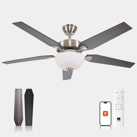52" Orison Indoor Ceiling Fan with Lights, Smart Ceiling Fan for Living Room