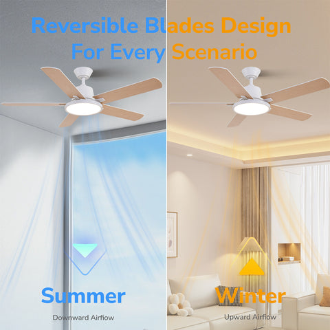 52" Orison Ceiling Fans with Lights, Low Profile Ceiling Fan with RGB Backlight, Remote/APP Control