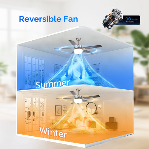 52" Orison Indoor Ceiling Fan with Lights, Smart Ceiling Fan for Living Room