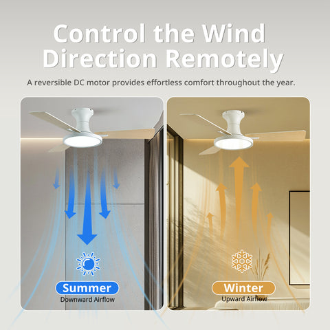 42" Orison Ceiling Fan with Lights, Reversible and Dimmable, Remote/APP Control