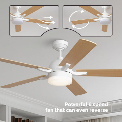 52" Orison Ceiling Fans with Lights, RGB Backlight with Remote/APP Control