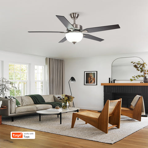52" Orison Indoor Ceiling Fan with Lights, Smart Ceiling Fan for Living Room