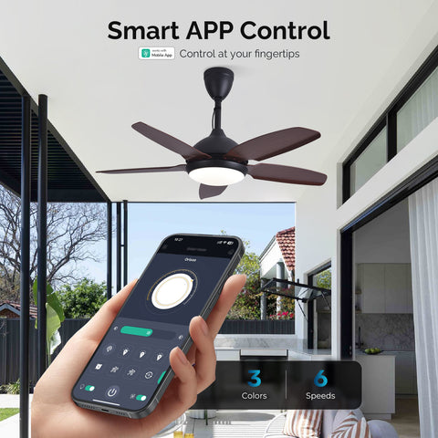 42" Orison Plug-in Outdoor Ceiling Fan with Light, 5-Blade Hanging Fan for Gazebo Porch