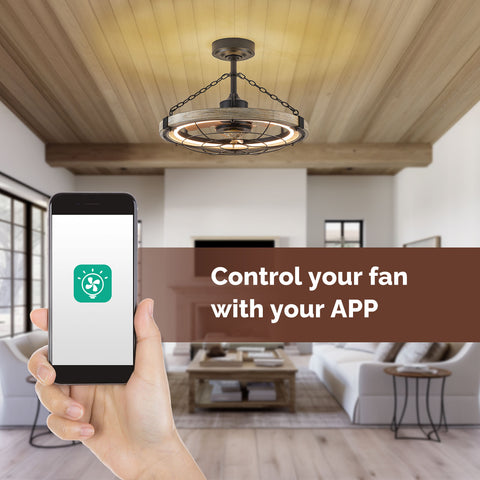 24.4" Orison Smart Caged Ceiling Fan With Lights, Dimmable LED Ceiling Light with Remote/APP Control