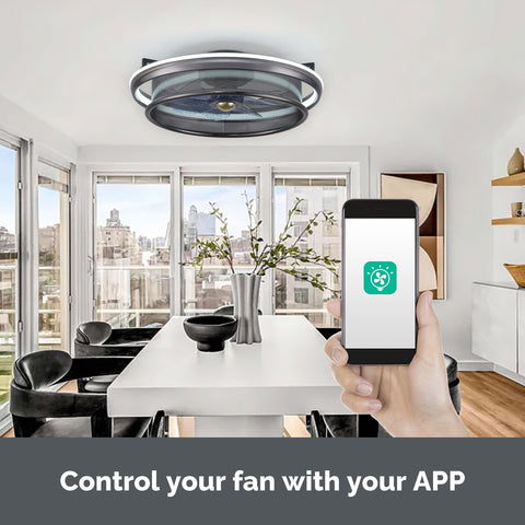 19.7" Orison Modern Ceiling Fan with Lights with Remote/APP Control