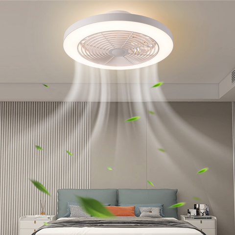 low profile ceiling fan with light