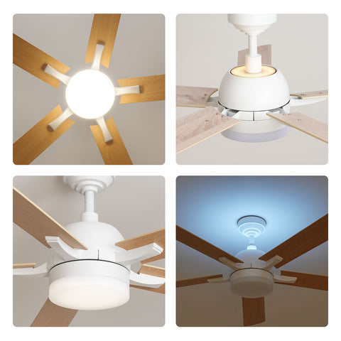 52" Orison Ceiling Fans with Lights, RGB Backlight with Remote/APP Control