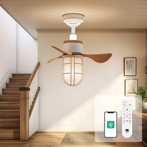 22" Orison Ceiling Fans with LED Lights, Small Ceiling Fan with Remote/APP Control for Patio