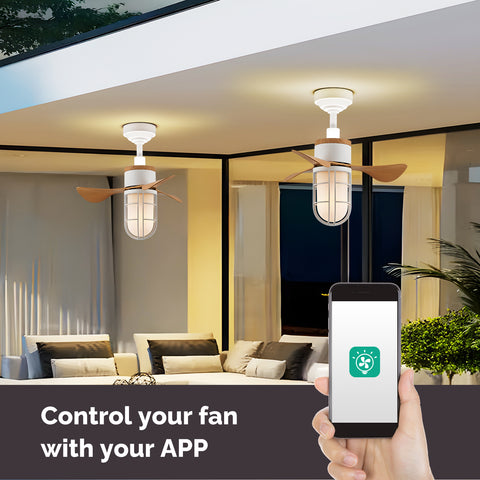 22" Orison Ceiling Fans with LED Lights, Small Ceiling Fan with Remote/APP Control for Patio