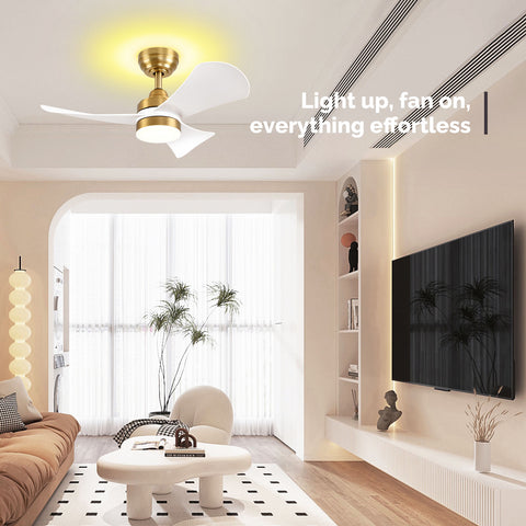 32" Orison Smart Ceiling Fans with Lights and Remote Control, Dancing RGB Light for Modern Bedroom